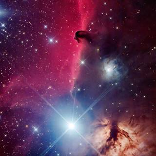 Cosmos iPhone wallpaper