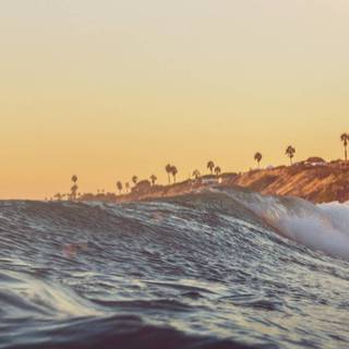 Ocean iPhone X wallpaper