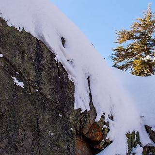 Snowboard iPhone wallpaper