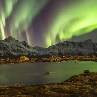 Northern Lights phone wallpaper