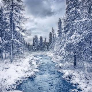 Canada city winter wallpaper