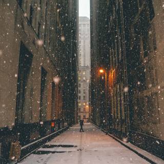 Canada city winter wallpaper