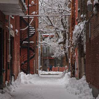Montreal winter wallpaper