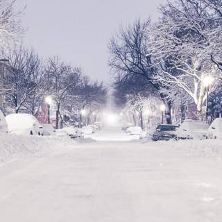 Montreal winter wallpaper