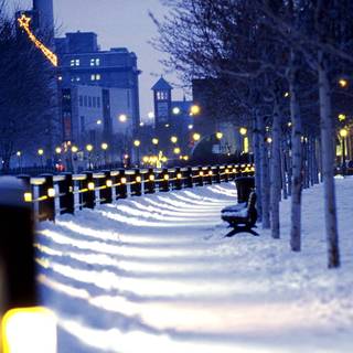 Montreal winter wallpaper
