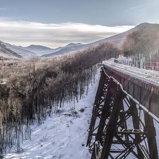 Winter tracking wallpaper