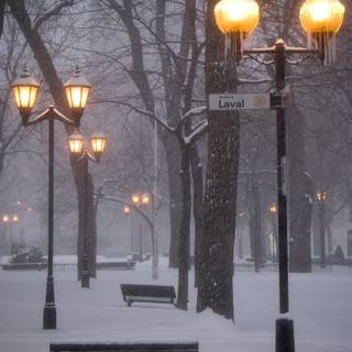 Montreal winter wallpaper