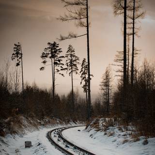 Winter tracking wallpaper