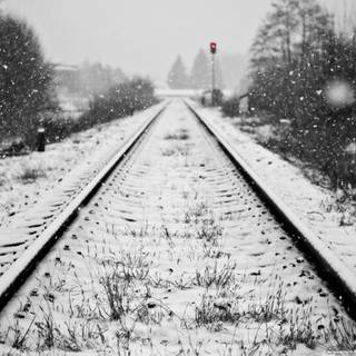 Winter tracking wallpaper