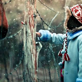 Cute winter horse wallpaper