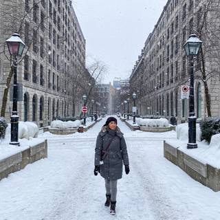 Montreal winter wallpaper
