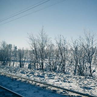 Winter tracking wallpaper