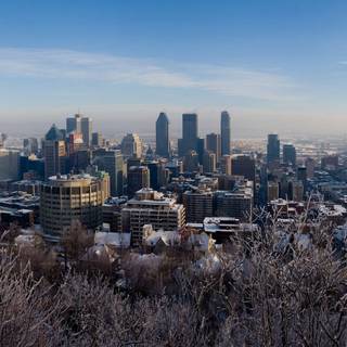 Montreal winter wallpaper