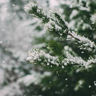 HD winter aesthetic wallpaper