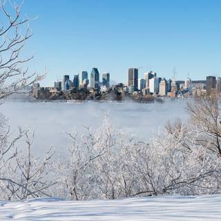 Montreal winter wallpaper