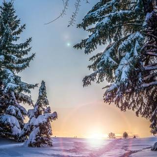 HD Canada winter wallpaper