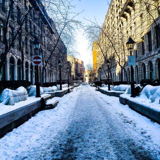 Montreal winter wallpaper