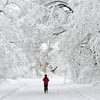 Montreal winter wallpaper
