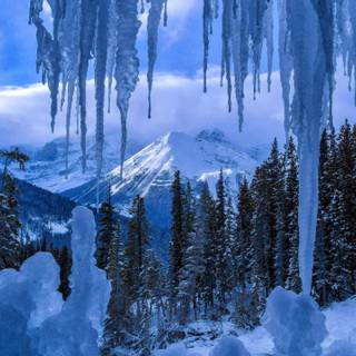 HD Canada winter wallpaper