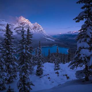 HD Canada winter wallpaper