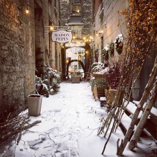 Montreal winter wallpaper