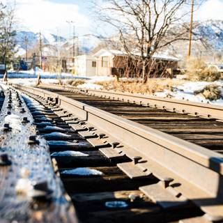 Winter tracking wallpaper