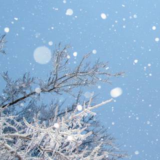 HD winter aesthetic wallpaper