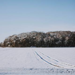 Winter tracking wallpaper