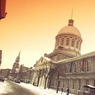 Montreal winter wallpaper
