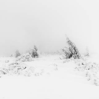 HD winter aesthetic wallpaper