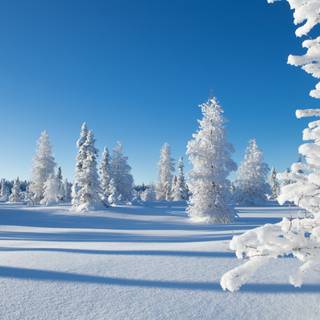 HD Canada winter wallpaper