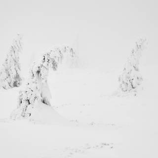 HD winter aesthetic wallpaper