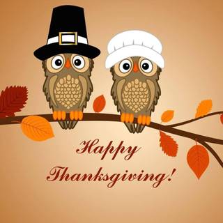 Owls Happy Thanksgiving wallpaper