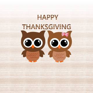 Owls Happy Thanksgiving wallpaper