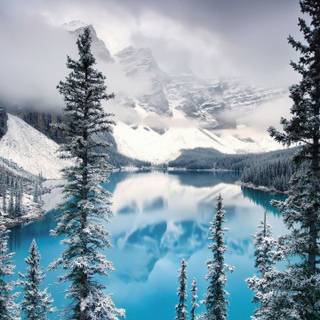 HD Canada winter wallpaper