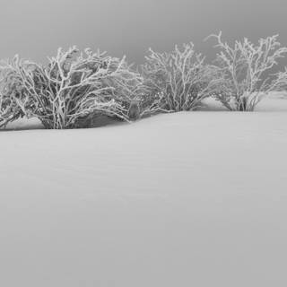 HD winter aesthetic wallpaper