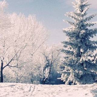 HD winter aesthetic wallpaper