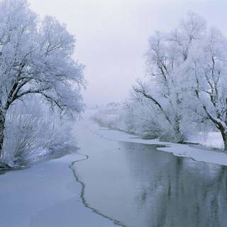 HD winter aesthetic wallpaper