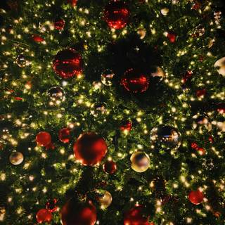 Christmas tree with lights wallpaper