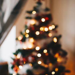 Christmas tree with lights wallpaper