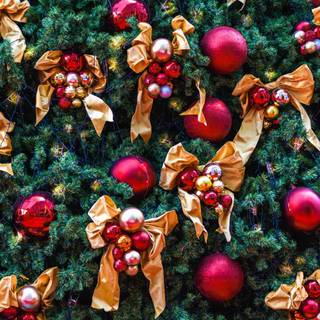 Christmas tree with lights wallpaper