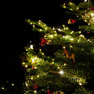 Christmas tree with lights wallpaper