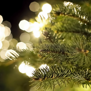 Christmas tree with lights wallpaper