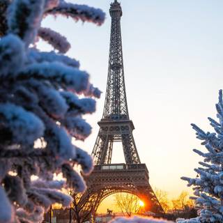 Eiffel Tower Christmas wallpaper