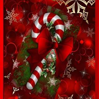 Flower Christmas wallpaper