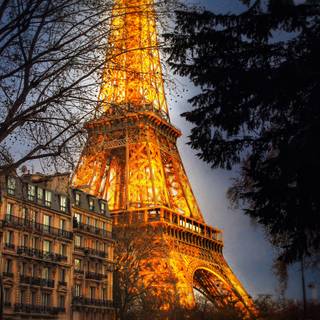 Eiffel Tower Christmas wallpaper