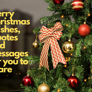 Christmas wises wallpaper