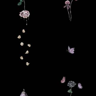 Black witch wallpaper