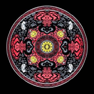 Kung Fu Kenny wallpaper