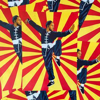 Kung Fu Kenny wallpaper